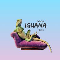 Iguana Latina's Photo