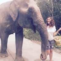 Chiara Malvoni的照片