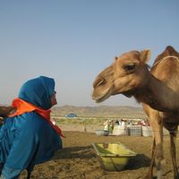 Rivah Fitriyah的照片