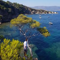 tommi millot的照片