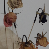 Hind Amellal's Photo