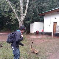 Luciano Iznardo的照片