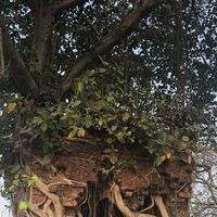 Achut Shrestha's Photo