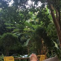 Leonid Petrovskiy的照片