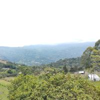 Peña ́s Rolling's Photo