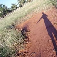 Photos de Aline Baggett