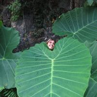 Camille Moreno的照片