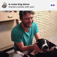 Fotos de David Bradford