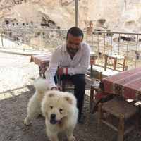 Kadir Yeşil's Photo