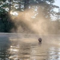 Aliverdi Aliverdizada's Photo