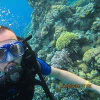 Mohamed Siag's Photo