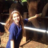 Molly Beach的照片