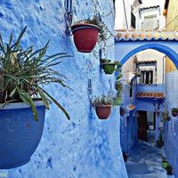 Zaitouni Aboubakr的照片