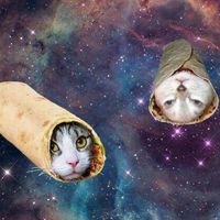 Magdalena Gąska's Photo