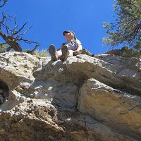 Ali Steullet's Photo