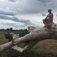 Fotos de Jan Strzeminski