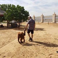 Eng Bin Flash的照片