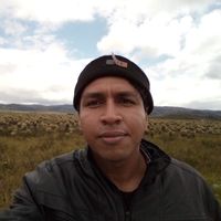 Le foto di David Moreno