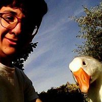 Fotos von Giuseppe Zagarium