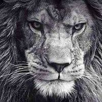 Sidney Morelia Trujillo's Photo