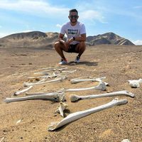 Camilo Leyva's Photo