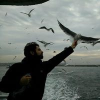 Фотографии пользователя Amer Jazaerli