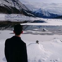 Shanqing Yang的照片