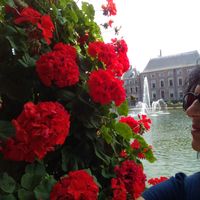 Mercedes Clemente的照片