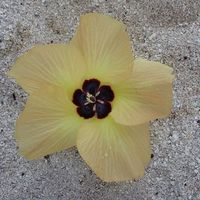 Fotos von Céline Hug