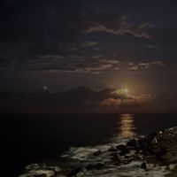Martin Ericson's Photo