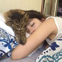 Violeta Vergara's Photo