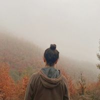 Photos de Parniyan Jamali