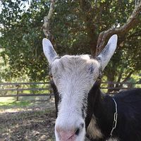 Emily Ogburn's Photo