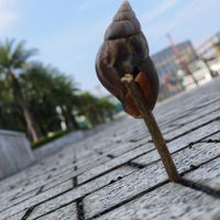 Pankaj Yadav's Photo