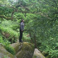 Julien  Hery的照片