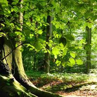 Le foto di Mohamed  Magar