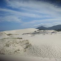 Vanessa Behrens's Photo