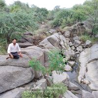 Atul Sikhwal's Photo