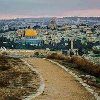 Mohammad Abdalla's Photo