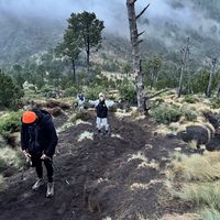 Alan Gonzalez's Photo