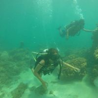 Alejandro Pastrana的照片