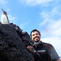 Photos de Miguel Melo