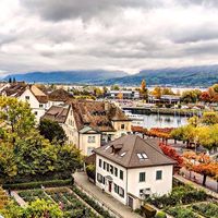 Alexo Garfias's Photo