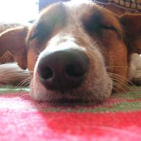 Diana Barata's Photo