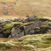 Katharina Noruschat's Photo