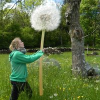 Orane FromBridge的照片