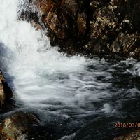 judith jones的照片