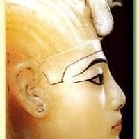 Mahmoud Kassab的照片