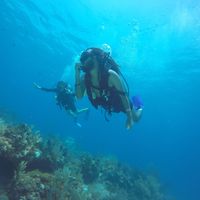 Agustín Ferrer's Photo