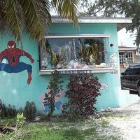 Martine Voyer's Photo